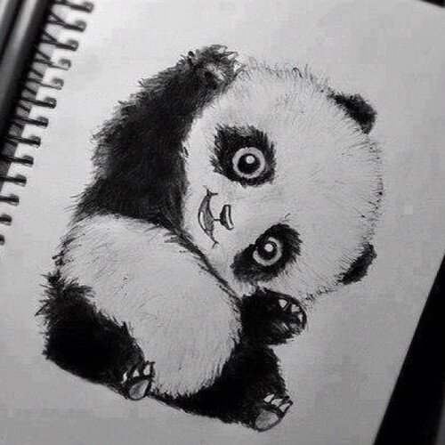 Impossible don't exist ♥♥