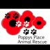 Poppys Place Rescue (@ppanimalrescue) Twitter profile photo