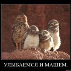 #followback, #rufollowback,#uafollowback,#євромайдан,#euromaidan