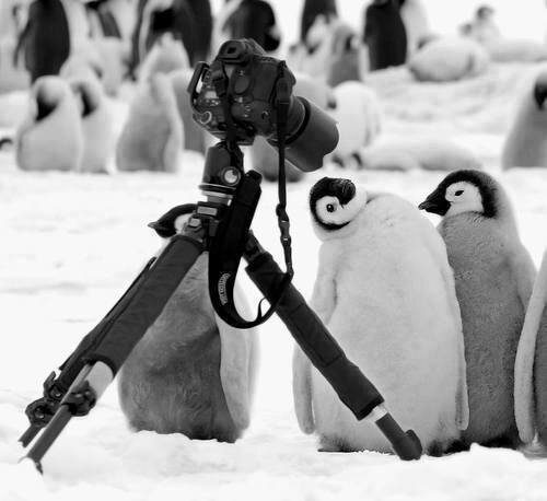 ReadbioReadme's profile picture. DONT FOLLOW ME