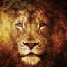 JwemrJim's profile picture. Patriot. Veteran. Entrepreneur.