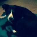 Barbara Easton - @Haslemereite - Twitter