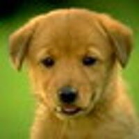 abybrizile (@abybrizile) 's Twitter Profile