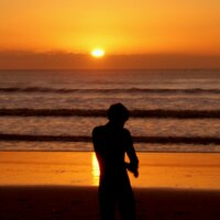 Gowertwit (@gowertwit) 's Twitter Profile