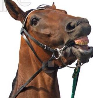 Providing you with Horse Racing Win tips. Also see @HorseRacingT1p for bigger odds. My views are my own. P/L updated daily once all racings finished.