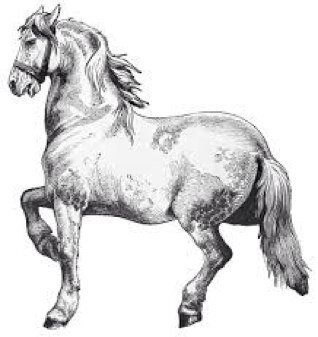 HorseRacingT1p's profile picture. Win & EW Betting Fancies. Our views are our own!