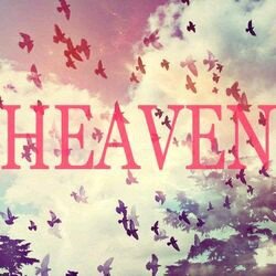 Houda_Gder's profile picture. ∞DIRECTIONER∞ღ
Jasminator ;)  Mixer :) lavator 3
& Cher Lloyd ლ ⌒εー ლ
♫ Le chant ma Passion ღ 
Follow Me et Jte Follow Back ;)