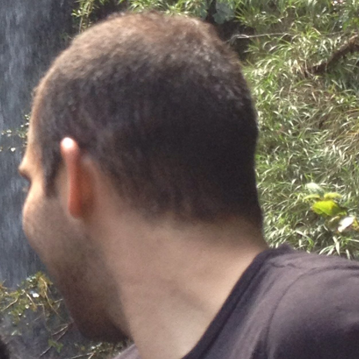 Modelo 79