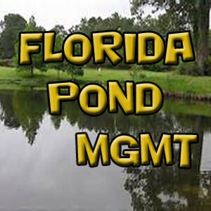 Florida Pond Management is devoted to the care and service of lakes and ponds. Our company operates in Central Florida.