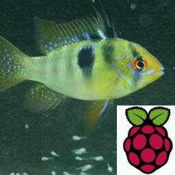 Message generated by Raspberry Pi