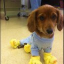 Val Harris - @valharrisx - Twitter