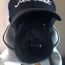 Tim Guest - @TDGuest - Twitter