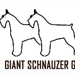 Luv Giant Schnauzers, Riesenschnauzers, Blk RussianTerriers, Bouvier desFlanders, large breeds.  Our co. carries best quality, durability & functionality gears