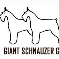 Giant Schnauzer Gear (@giantschnauzerg) 's Twitter Profile
