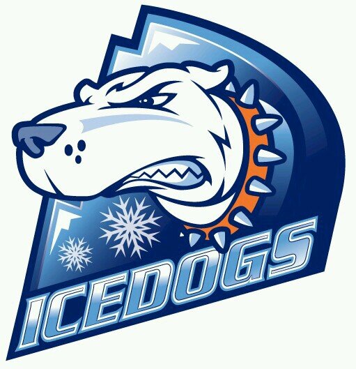 IcedogsJuniorGold B