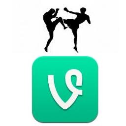 Funniest fighting vines! Smack cam's / KO's and all crazy fights.
