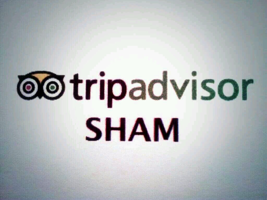 Fake reviews are rife on Tripadvisor. Those green dots? Not worth it! Your next review could be devastating. Support our campaign for reviewer verification.