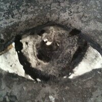 Night Gallery (@nightgalleryla) 's Twitter Profile