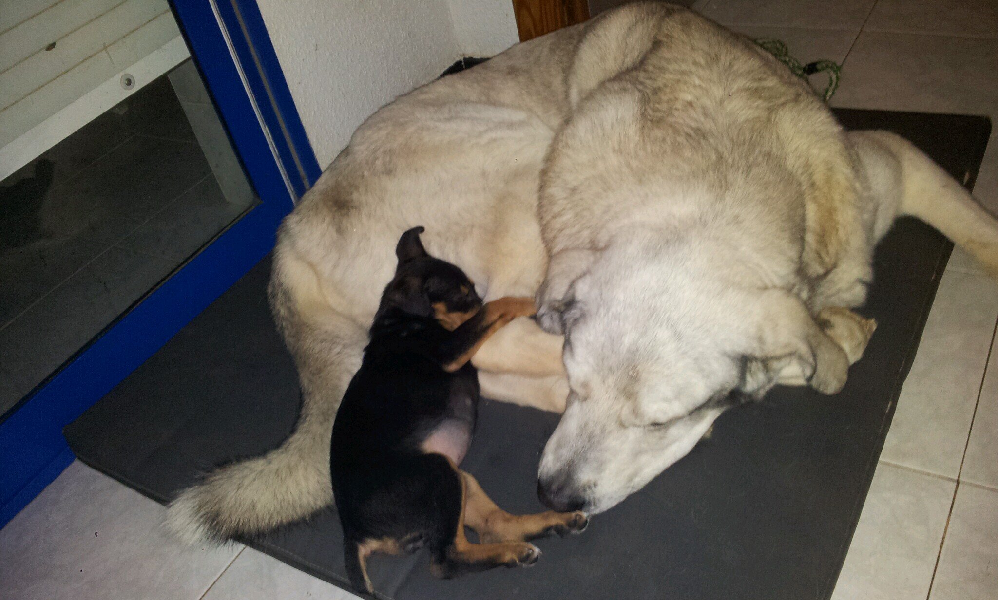 LaBahiaCT's profile picture. 