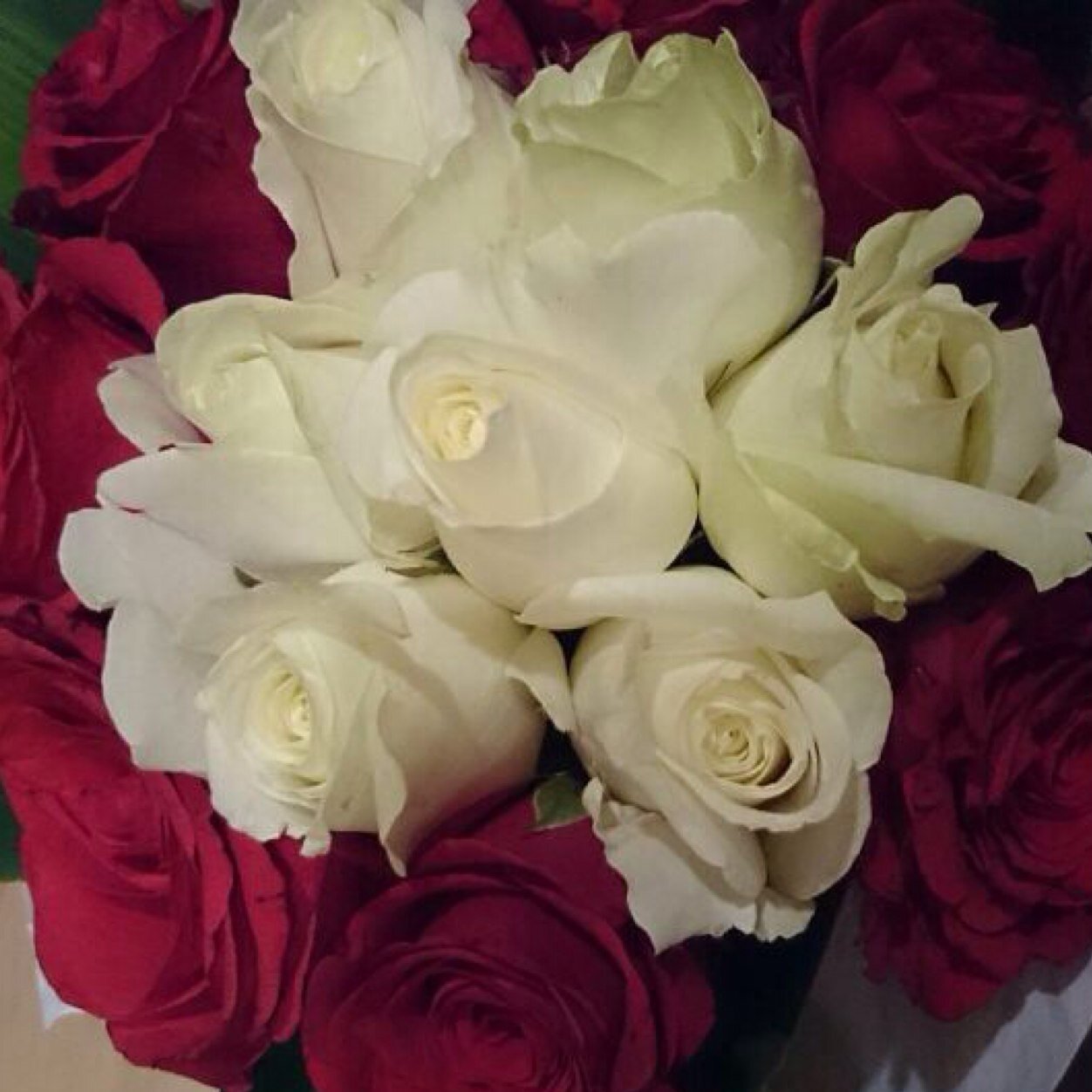 بعضًا مني هنا والكثير هناك ، وأحرفي ولدت حرة مبعثرة ، وأقتبس لحكايا أخرى♡