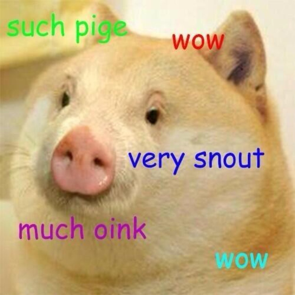 P_Rock54321's profile picture. 