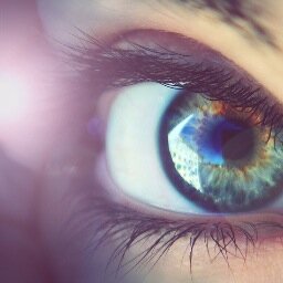 MagpieRose9's profile picture. Subtly charming wine fanatic. Coffee maven. Total dog person (Woof) 🇨🇦 * The views expressed are mine alone. candidate for Prime Minister of Canada