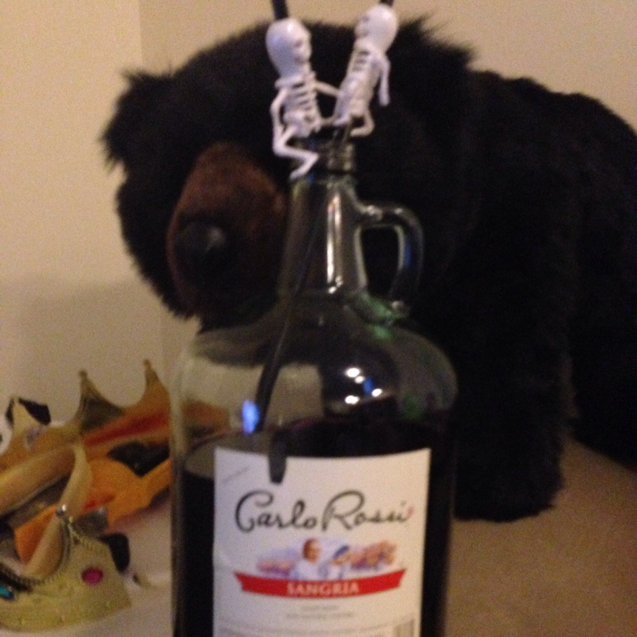 CarloPosse's profile picture. Montecore is a great cat. Make sure no harm comes to Montecore.