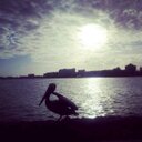 Robert Cuervo - @Cuervozaurio - Twitter