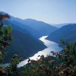 kilicc_ali's profile picture. 