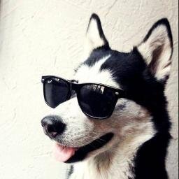 mas vale una sonrisa triste q la tristesa de no verte sonreir
sígueme y te sigo