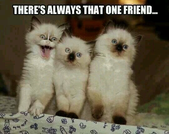 I am active, athletic , happy, full of adrenaline , love, and friendship and they know me as NINJA