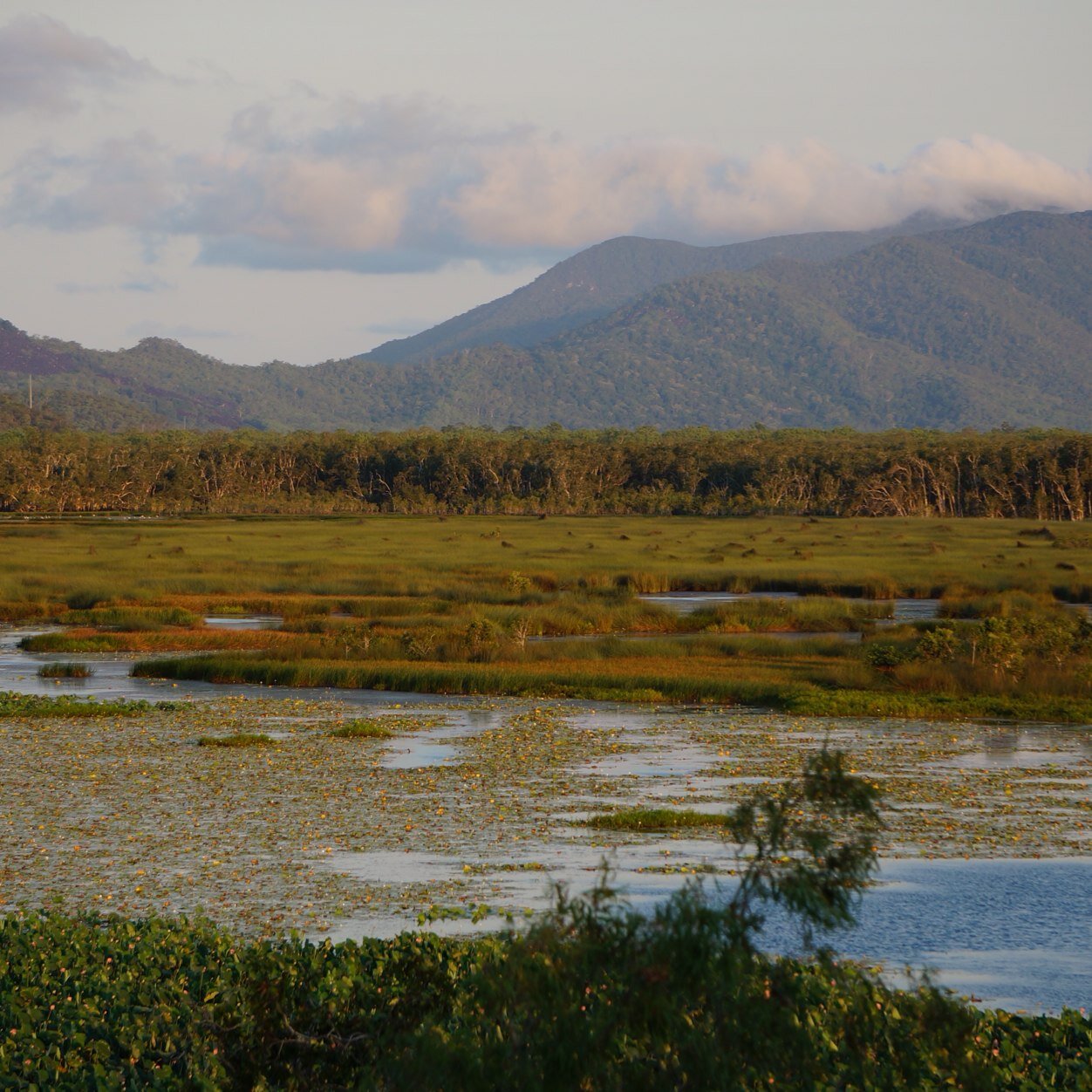 Not for profit conservation land trust with twenty reserves in NSW and Queensland