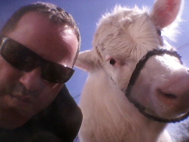 derickwil's profile picture. 