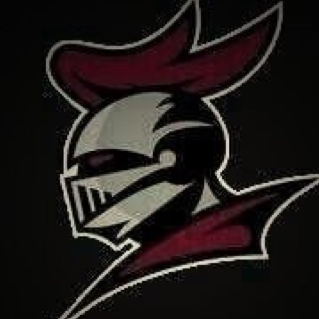 Premier eSports organization -