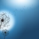 Magda ortiz - @Magdaot1O - Twitter