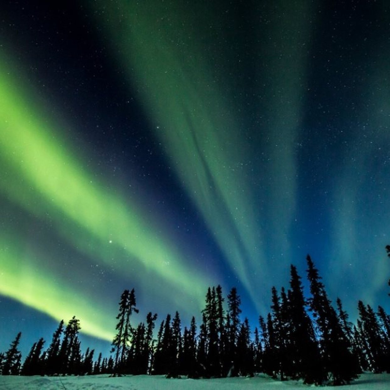 inhaian's profile picture. 동의되지 않는 권위에 굴복하지말고 불합리한 돈의 힘에 복종하지 말자.