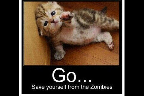 marclobio's profile picture. 