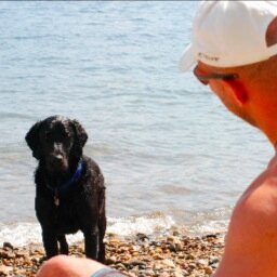 Avid outdoor enthusiast, runner, rugger, dad,dog owner& Oiler fan in the true north
