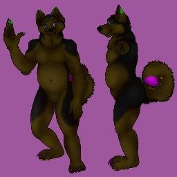 What to say. 24, gay single male, living in a house filled with furs. My roommate is a German shepyl
