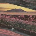 Sam Gutiérrez - @SamxDDDD - Twitter