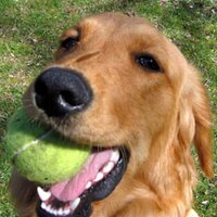 Free Kindle Books (@freekindlebook4) 's Twitter Profile