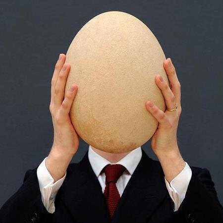 DcurtissS's profile picture. 