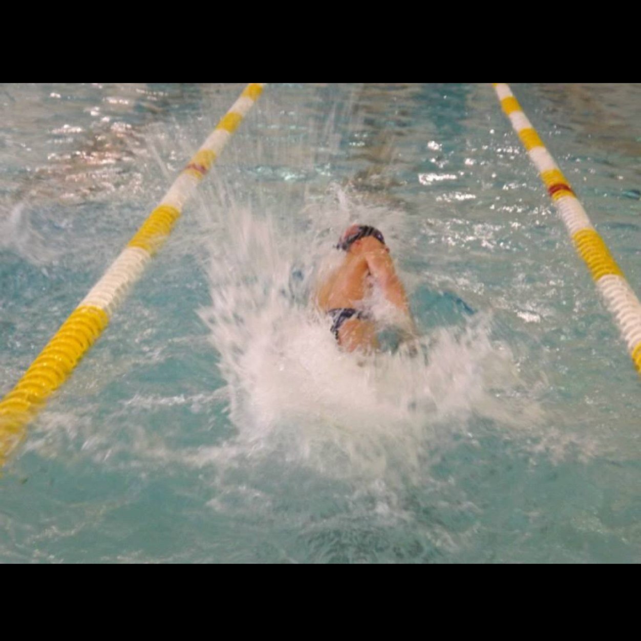 LifeeOfASwimmer's profile picture. tweeting about the daily life, follow me i guarantee you can relate if you swim