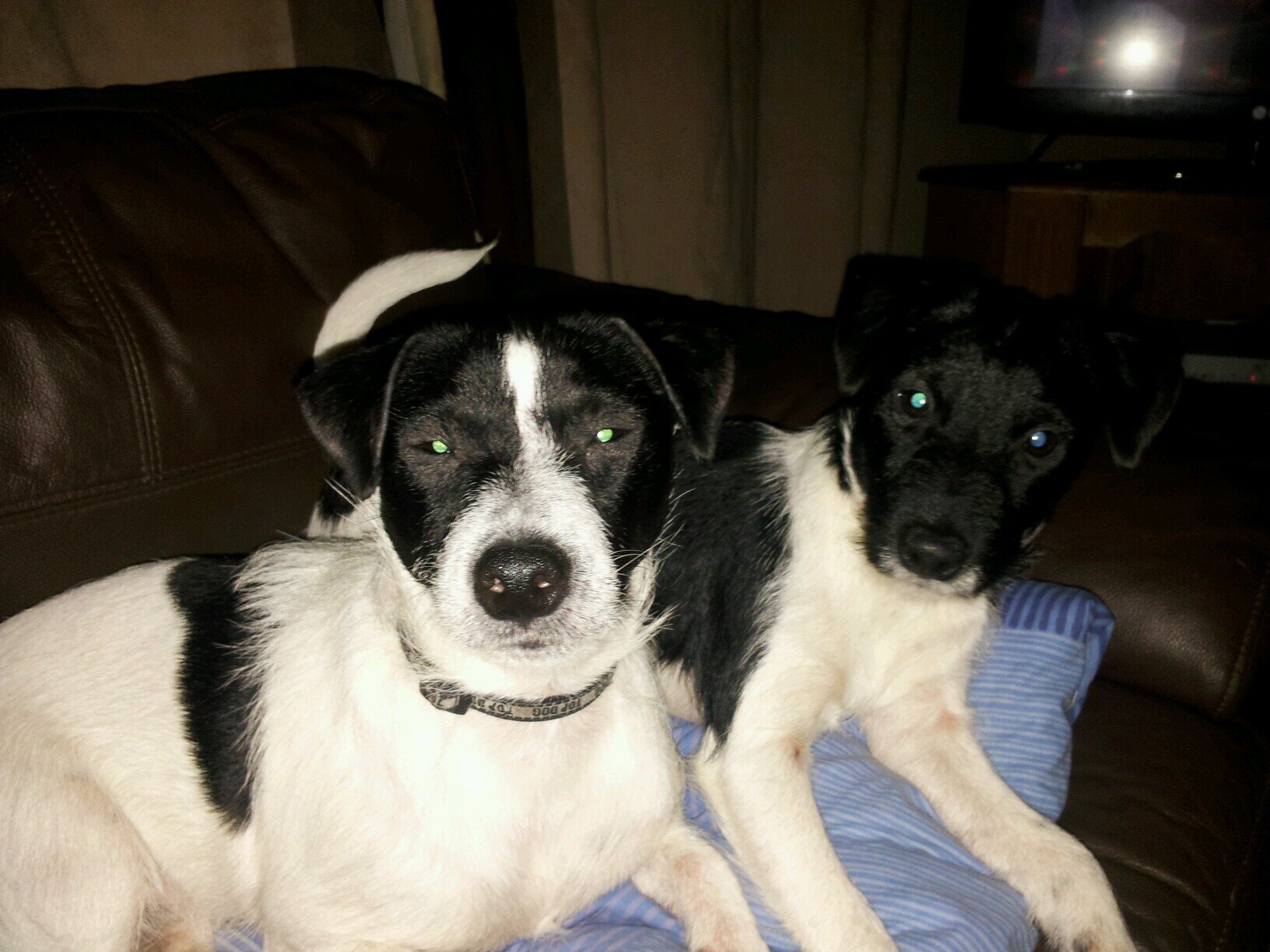 Kraysmum's profile picture. 