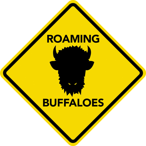 Roaming Buffaloes Adventure Club is a social networking club focusing on outdoor activities, day and weekend trips, and social events for Western New Yorkers.