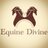 EquineDvneAiken's profile image