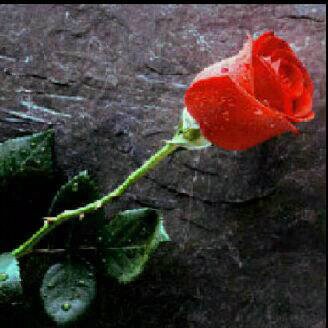 andhika082's profile picture. 26 Mei 2012 MoU