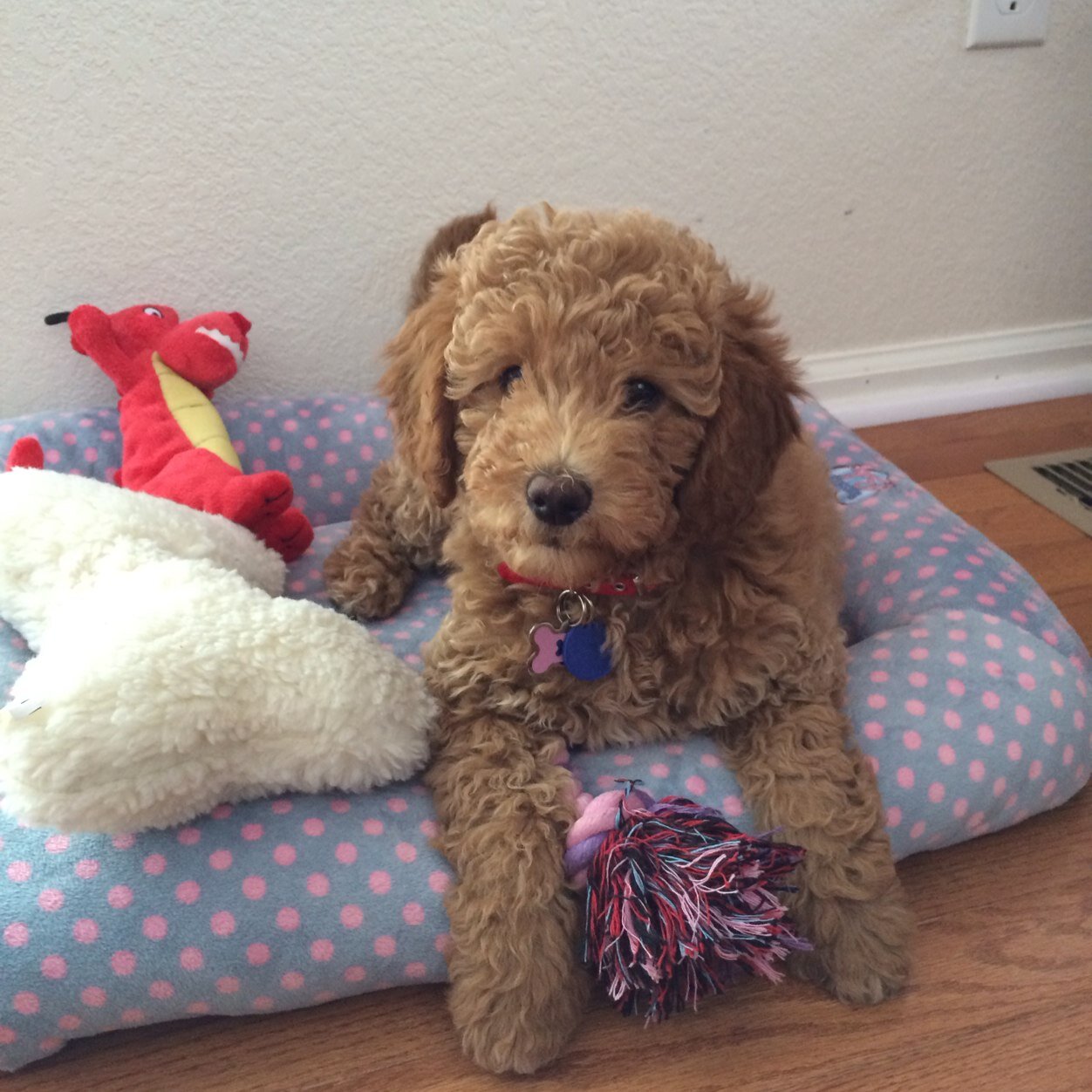 Raquelalex1's profile picture. 