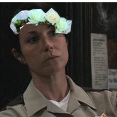 I'm arresting you on on suspicion of being a fagit.