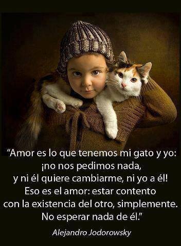 Amante de los gatos y las mascotas.